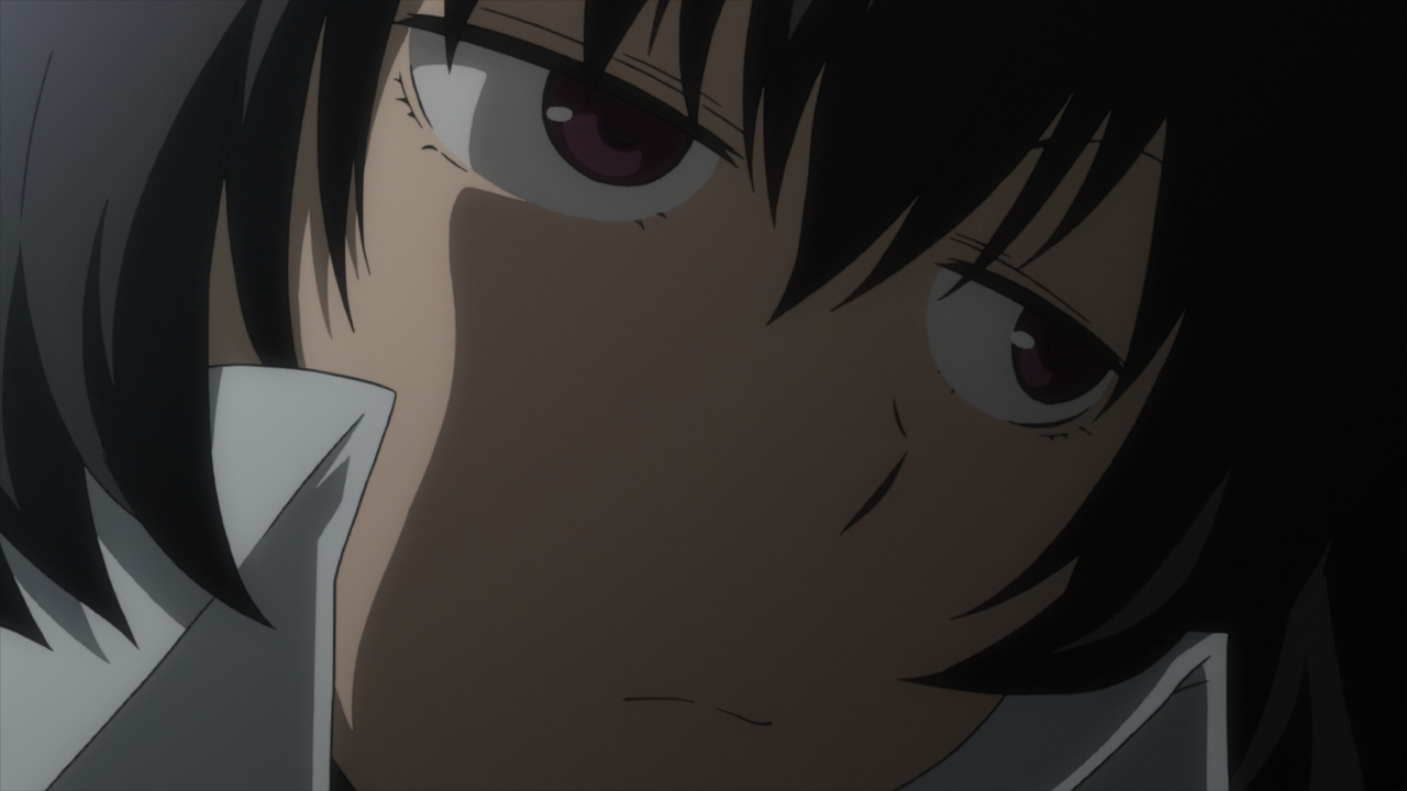 Kekkai Sensen & Beyond (Kite Subs)